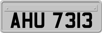 AHU7313