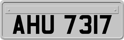 AHU7317