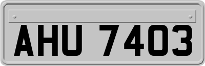 AHU7403