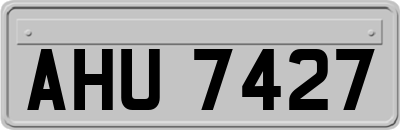 AHU7427