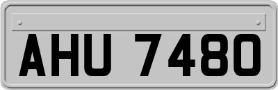 AHU7480