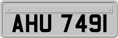 AHU7491