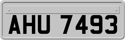AHU7493