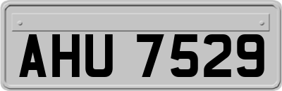AHU7529
