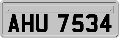 AHU7534