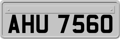 AHU7560
