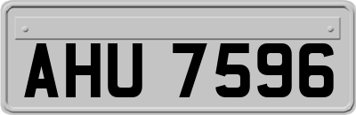 AHU7596