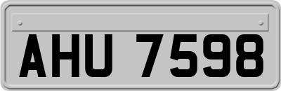 AHU7598