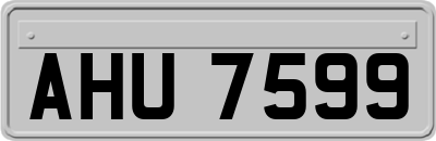 AHU7599