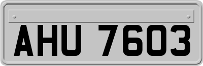 AHU7603