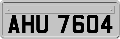 AHU7604