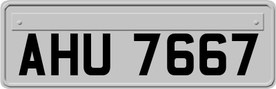 AHU7667