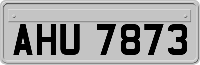 AHU7873