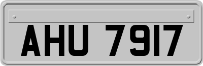 AHU7917