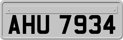 AHU7934