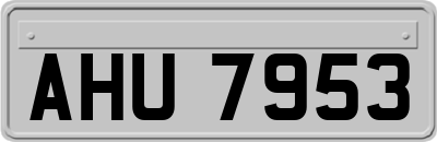 AHU7953