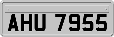 AHU7955