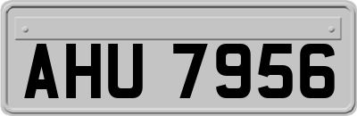 AHU7956