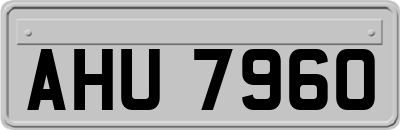 AHU7960