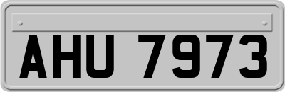 AHU7973