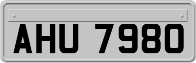 AHU7980