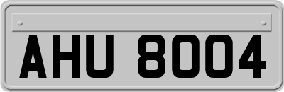 AHU8004