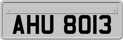 AHU8013