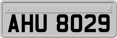 AHU8029