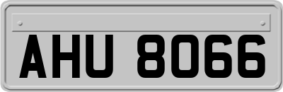 AHU8066