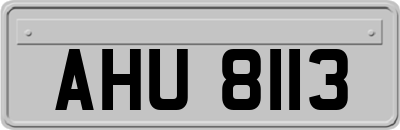 AHU8113