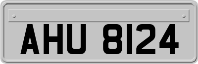 AHU8124