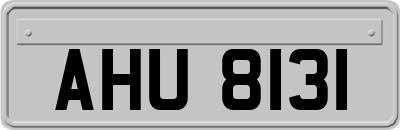 AHU8131