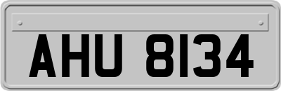 AHU8134