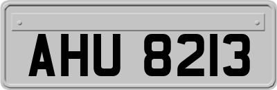AHU8213