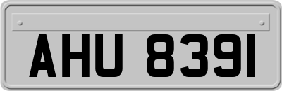 AHU8391