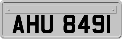 AHU8491