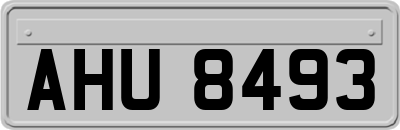 AHU8493