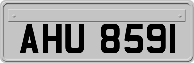 AHU8591
