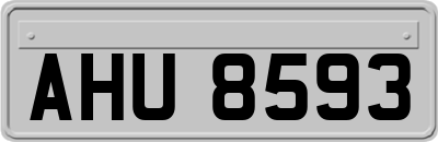 AHU8593