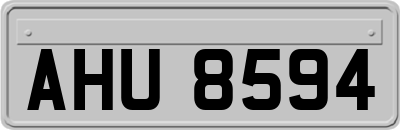 AHU8594