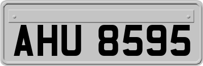 AHU8595