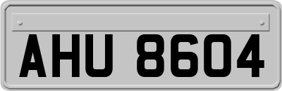 AHU8604