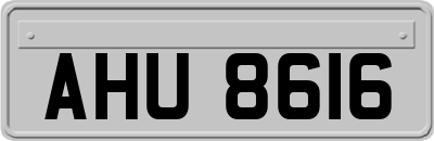AHU8616