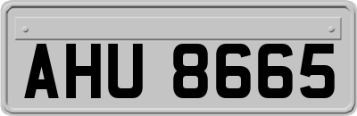 AHU8665