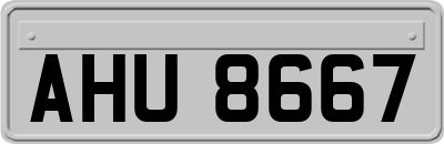 AHU8667