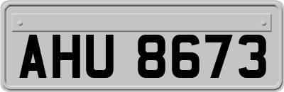 AHU8673
