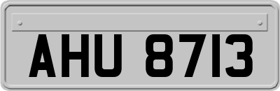 AHU8713