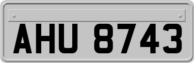 AHU8743