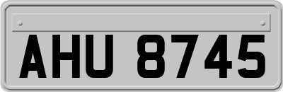 AHU8745