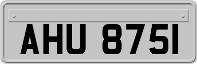 AHU8751